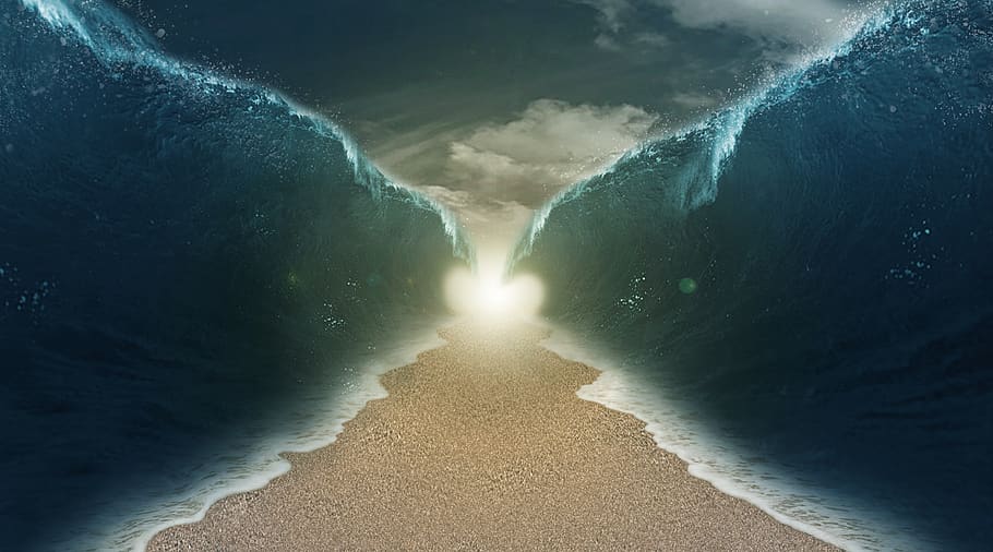 Are There Any Efforts To Bring About Or Prevent Certain Events In Israel To Fulfill Prophecies?